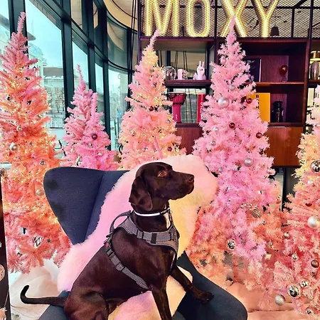 Moxy Center Szálloda