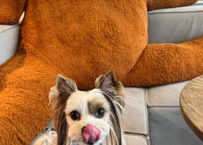 Moxy Center 호텔 카우나스